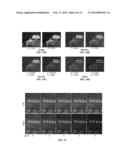 BINOCULAR VISUAL EXPERIENCE ENRICHMENT SYSTEM diagram and image