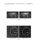 BINOCULAR VISUAL EXPERIENCE ENRICHMENT SYSTEM diagram and image