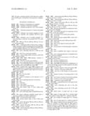 OPTICAL AMPLIFIER AND PROCESS diagram and image