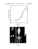 CONJUGATES AND THEIR USES IN MOLECULAR IMAGING diagram and image