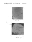 NANOPARTICLES DELIVERY SYSTEMS, PREPARATION AND USES THEREOF diagram and image