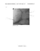 NANOPARTICLES DELIVERY SYSTEMS, PREPARATION AND USES THEREOF diagram and image