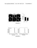 PROCESS FOR DELIVERING ENCAPSULATED NEUTRAL BIOIMAGING MOLECULES, COMPLEX,     AND PROCESS THEREOF diagram and image