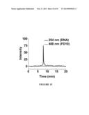 PROCESS FOR DELIVERING ENCAPSULATED NEUTRAL BIOIMAGING MOLECULES, COMPLEX,     AND PROCESS THEREOF diagram and image