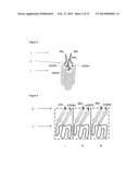 TNFSF SINGLE CHAIN MOLECULES diagram and image