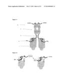 TNFSF SINGLE CHAIN MOLECULES diagram and image