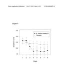 BIFIDOBACTERIUM BIFIDUM STRAINS FOR APPLICATION IN GASTROINTESTINAL     DISEASES diagram and image