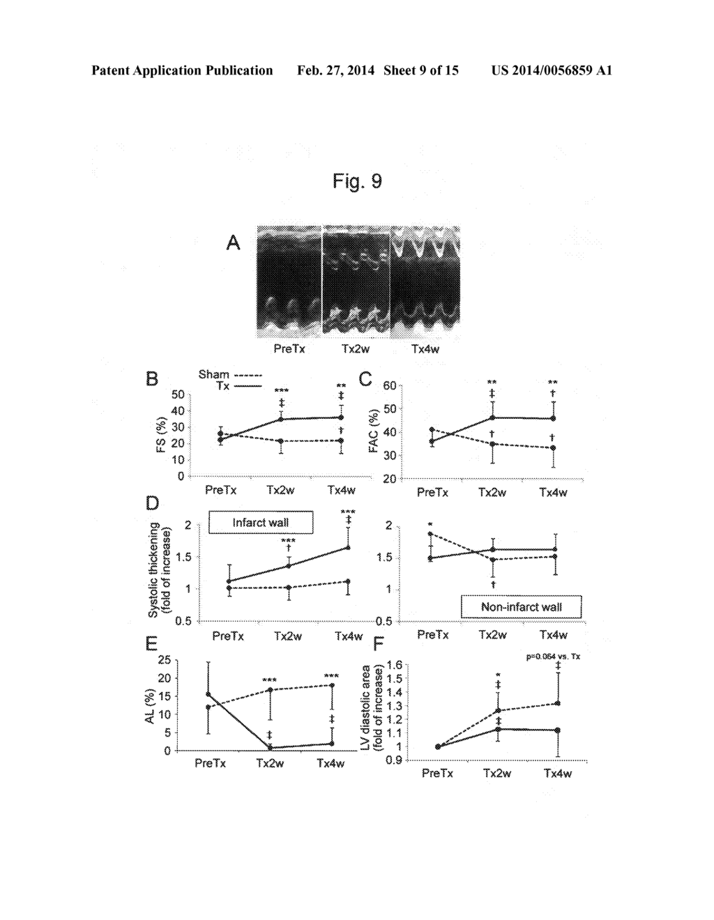 METHOD FOR PRODUCING MYOCARDIAL SHEET FROM EMBRYONIC STEM CELLS - diagram, schematic, and image 10