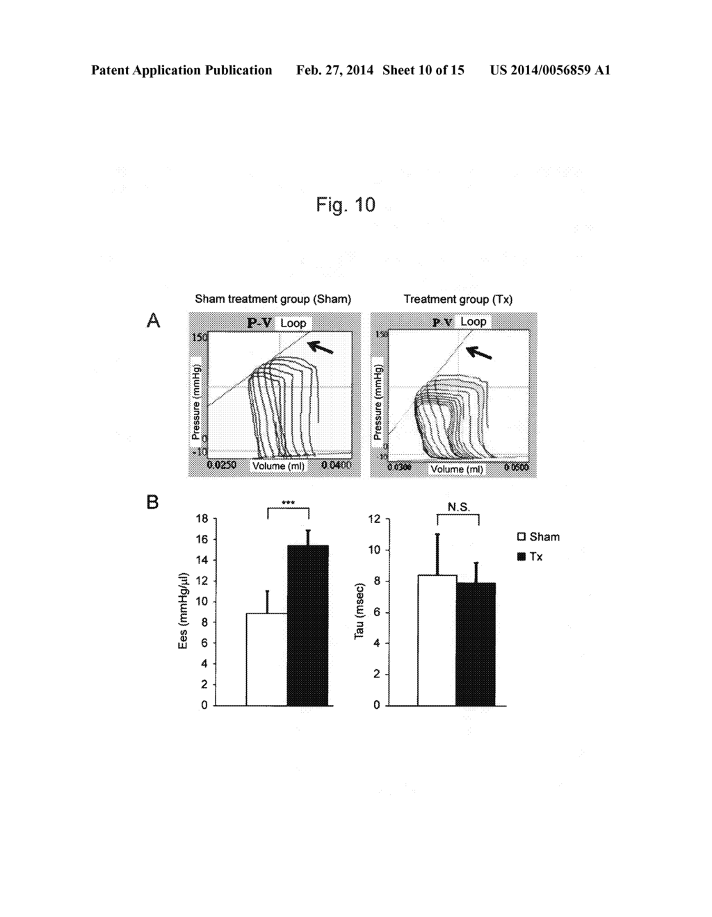 METHOD FOR PRODUCING MYOCARDIAL SHEET FROM EMBRYONIC STEM CELLS - diagram, schematic, and image 11