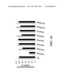 RECOMBINANT FACTOR VIII HAVING INCREASED STABILITY diagram and image
