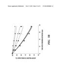 RECOMBINANT FACTOR VIII HAVING INCREASED STABILITY diagram and image