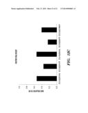 RECOMBINANT FACTOR VIII HAVING INCREASED STABILITY diagram and image