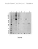 FUSION PROTEINS diagram and image