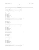 ANTI-INFLAMMATORY ANTIBODIES AND USES THEREFOR diagram and image