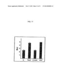 RSPONDINS AS MODULATORS OF ANGIOGENESIS AND VASCULOGENESIS diagram and image