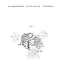 Dual Variable Region Antibody-Like Binding Proteins Having Cross-Over     Binding Region Orientation diagram and image