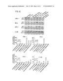 FTY720 Increases CD74 Expression and Sensitizes Cancer Cells to Anti-CD74     Antibody-Mediated Cell Death diagram and image