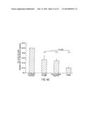 FTY720 Increases CD74 Expression and Sensitizes Cancer Cells to Anti-CD74     Antibody-Mediated Cell Death diagram and image