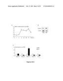 METHODS AND  COMPOSITIONS FOR TREATING INFLAMMATORY CONDITIONS diagram and image