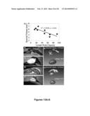 METHODS AND  COMPOSITIONS FOR TREATING INFLAMMATORY CONDITIONS diagram and image