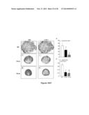 METHODS AND  COMPOSITIONS FOR TREATING INFLAMMATORY CONDITIONS diagram and image