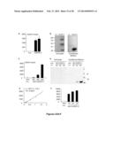 METHODS AND  COMPOSITIONS FOR TREATING INFLAMMATORY CONDITIONS diagram and image