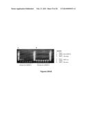 METHODS AND  COMPOSITIONS FOR TREATING INFLAMMATORY CONDITIONS diagram and image