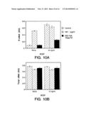 Hepatocyte Growth Factor Receptor Antagonists and Uses Thereof diagram and image