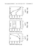 Hepatocyte Growth Factor Receptor Antagonists and Uses Thereof diagram and image