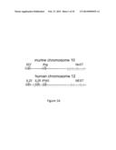 IMMUNOMODULATION BY CONTROLLING INTERFERON-GAMMA LEVELS WITH THE LONG     NON-CODING RNA NeST diagram and image