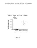 IMMUNOMODULATION BY CONTROLLING INTERFERON-GAMMA LEVELS WITH THE LONG     NON-CODING RNA NeST diagram and image