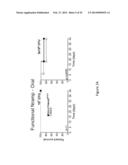 IMMUNOMODULATION BY CONTROLLING INTERFERON-GAMMA LEVELS WITH THE LONG     NON-CODING RNA NeST diagram and image