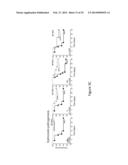 IMMUNOMODULATION BY CONTROLLING INTERFERON-GAMMA LEVELS WITH THE LONG     NON-CODING RNA NeST diagram and image