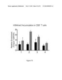 IMMUNOMODULATION BY CONTROLLING INTERFERON-GAMMA LEVELS WITH THE LONG     NON-CODING RNA NeST diagram and image