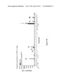 IMMUNOMODULATION BY CONTROLLING INTERFERON-GAMMA LEVELS WITH THE LONG     NON-CODING RNA NeST diagram and image