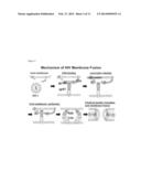 PEPTIDE WHICH CAN INDUCE ANTIBODY CAPABLE OF RECOGNIZING STEREOSTRUCTURE     OF HIV diagram and image