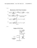 PEPTIDE WHICH CAN INDUCE ANTIBODY CAPABLE OF RECOGNIZING STEREOSTRUCTURE     OF HIV diagram and image