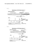 PEPTIDE WHICH CAN INDUCE ANTIBODY CAPABLE OF RECOGNIZING STEREOSTRUCTURE     OF HIV diagram and image