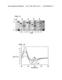 COMPOSITIONS AND METHODS USING RECOMBINANT MHC MOLECULES FOR THE TREATMENT     OF STROKE diagram and image