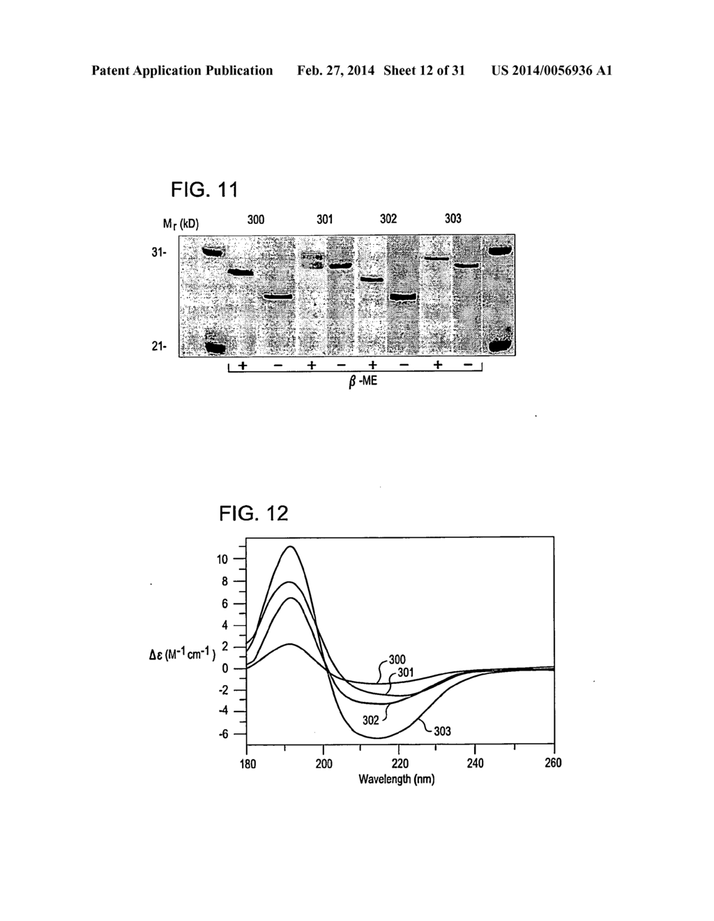 COMPOSITIONS AND METHODS USING RECOMBINANT MHC MOLECULES FOR THE TREATMENT     OF STROKE - diagram, schematic, and image 13