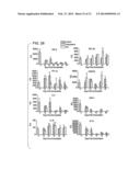 COMPOSITIONS AND METHODS USING RECOMBINANT MHC MOLECULES FOR THE TREATMENT     OF STROKE diagram and image