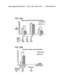 COMPOSITIONS AND METHODS USING RECOMBINANT MHC MOLECULES FOR THE TREATMENT     OF STROKE diagram and image