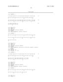 COMPOSITIONS AND METHODS USING RECOMBINANT MHC MOLECULES FOR THE TREATMENT     OF STROKE diagram and image