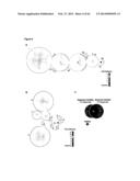 NUCLEIC ACID APTAMERS diagram and image