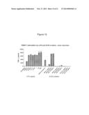 Methods for Improving Fracture Healing and Bone Formation diagram and image