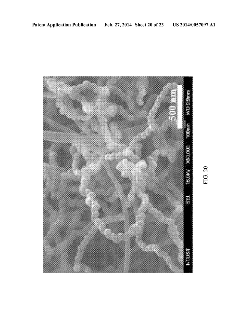 METHOD FOR FABRICATING COILED NANO CARBON MATERIAL, COILED NANO CARBON     LAYERED SUBSTRATE AND COILED NANO CARBON MATERIAL THEREOF - diagram, schematic, and image 21