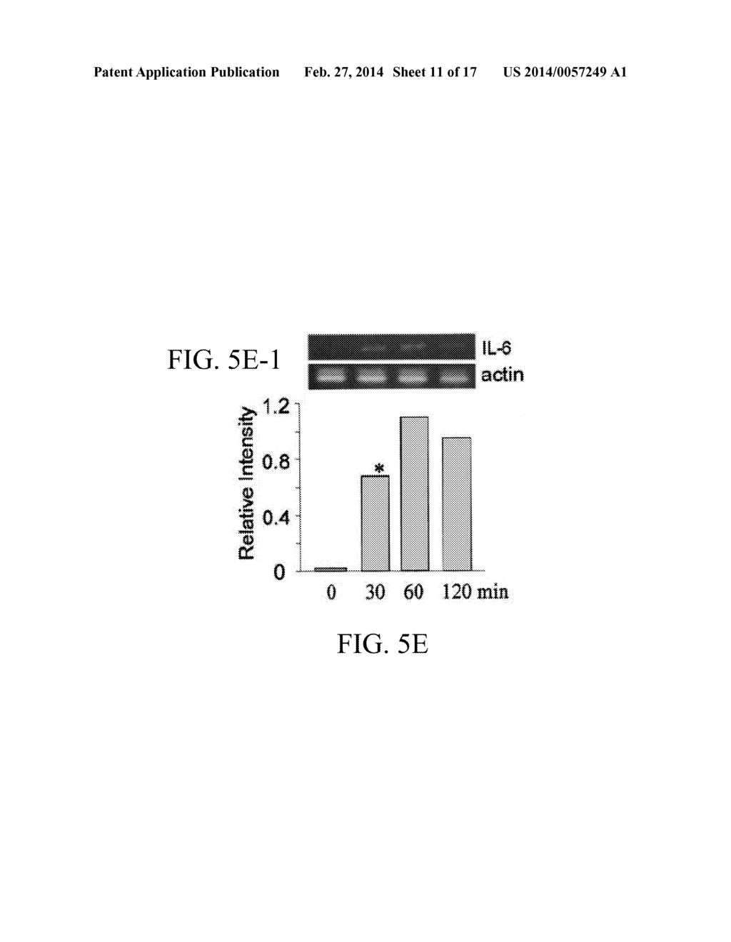 JAK/STAT INHIBITORS AND MAPK/ERK INHIBITORS FOR RSV INFECTION - diagram, schematic, and image 12