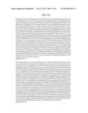 MATERIALS AND METHOD FOR ASSAYING FOR METHYLATION OF CpG ISLANDS     ASSOCIATED WITH GENES IN THE EVALUATION OF CANCER diagram and image