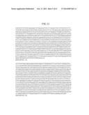 MATERIALS AND METHOD FOR ASSAYING FOR METHYLATION OF CpG ISLANDS     ASSOCIATED WITH GENES IN THE EVALUATION OF CANCER diagram and image