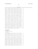 MATERIALS AND METHOD FOR ASSAYING FOR METHYLATION OF CpG ISLANDS     ASSOCIATED WITH GENES IN THE EVALUATION OF CANCER diagram and image